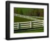Fences Around Pastures, Shaker Village of Plesant Hill, Kentucky, USA-Adam Jones-Framed Photographic Print