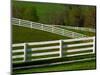 Fences Around Pastures, Shaker Village of Plesant Hill, Kentucky, USA-Adam Jones-Mounted Photographic Print