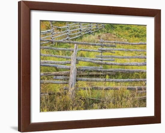 Fences-Don Paulson-Framed Giclee Print