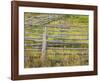 Fences-Don Paulson-Framed Giclee Print