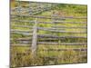 Fences-Don Paulson-Mounted Giclee Print