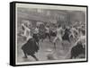 Fencing for Women-G.S. Amato-Framed Stretched Canvas