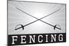 Fencing Sports-null-Mounted Poster