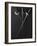 Fencing Weapons: Epee, Foil, Sabre-null-Framed Photographic Print