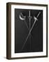 Fencing Weapons: Epee, Foil, Sabre-null-Framed Photographic Print