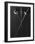 Fencing Weapons: Epee, Foil, Sabre-null-Framed Photographic Print