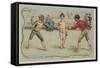 Fencing-null-Framed Stretched Canvas