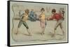 Fencing-null-Framed Stretched Canvas