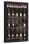 Fender- Stratocaster Evolution-null-Stretched Canvas