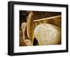 Fenders, Chevy 3600-Jessica Rogers-Framed Giclee Print