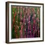 Feng Shui Cane Hot Pink-Herb Dickinson-Framed Photographic Print