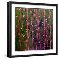 Feng Shui Cane Hot Pink-Herb Dickinson-Framed Photographic Print