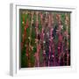 Feng Shui Cane Hot Pink-Herb Dickinson-Framed Photographic Print