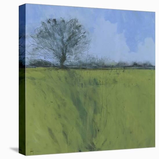 Fenland Morning-Paul Bailey-Stretched Canvas