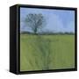 Fenland Morning-Paul Bailey-Framed Stretched Canvas