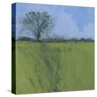 Fenland Morning-Paul Bailey-Stretched Canvas