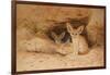 Fennec Fox - Canis Cerdo-Joseph Wolf-Framed Giclee Print