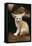 Fennec Fox Sitting-null-Framed Stretched Canvas