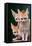 Fennec Foxes-Lantern Press-Framed Stretched Canvas