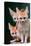 Fennec Foxes-Lantern Press-Stretched Canvas