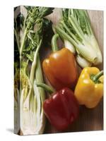 Fennel, Celery and Different Coloured Peppers-Eising Studio - Food Photo and Video-Stretched Canvas