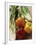 Fennel, Celery and Different Coloured Peppers-Eising Studio - Food Photo and Video-Framed Photographic Print