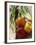 Fennel, Celery and Different Coloured Peppers-Eising Studio - Food Photo and Video-Framed Photographic Print