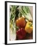 Fennel, Celery and Different Coloured Peppers-Eising Studio - Food Photo and Video-Framed Photographic Print