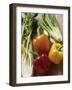 Fennel, Celery and Different Coloured Peppers-Eising Studio - Food Photo and Video-Framed Photographic Print