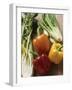 Fennel, Celery and Different Coloured Peppers-Eising Studio - Food Photo and Video-Framed Photographic Print