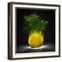 Fennel-Wieteke De Kogel-Framed Photographic Print