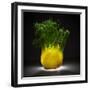 Fennel-Wieteke De Kogel-Framed Photographic Print