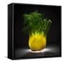 Fennel-Wieteke De Kogel-Framed Stretched Canvas