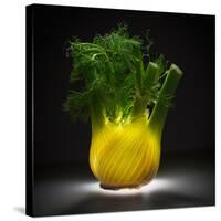 Fennel-Wieteke De Kogel-Stretched Canvas