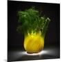 Fennel-Wieteke De Kogel-Mounted Photographic Print