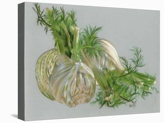 Fennel-Barbara Keith-Stretched Canvas