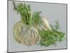 Fennel-Barbara Keith-Mounted Giclee Print