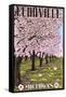 Fennville, Michigan - Cherry Orchard in Blossom-Lantern Press-Framed Stretched Canvas