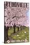 Fennville, Michigan - Cherry Orchard in Blossom-Lantern Press-Stretched Canvas