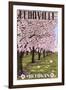 Fennville, Michigan - Cherry Orchard in Blossom-Lantern Press-Framed Art Print