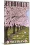 Fennville, Michigan - Cherry Orchard in Blossom-Lantern Press-Mounted Art Print