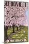 Fennville, Michigan - Cherry Orchard in Blossom-Lantern Press-Mounted Art Print