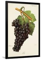 Fer Grape-J. Troncy-Framed Giclee Print