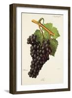 Fer Grape-J. Troncy-Framed Giclee Print