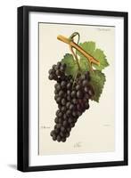 Fer Grape-J. Troncy-Framed Giclee Print