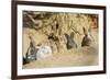 Feral Domestic Rabbit (Oryctolagus Cuniculus) Babies Resting Near Burrow-Yukihiro Fukuda-Framed Photographic Print