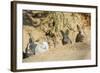 Feral Domestic Rabbit (Oryctolagus Cuniculus) Babies Resting Near Burrow-Yukihiro Fukuda-Framed Photographic Print