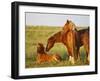 Feral Horse in the High Sagebrush Country East of Cody, Wyoming, USA-Larry Ditto-Framed Photographic Print