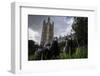 Feral Pigeons (Columba Livia) Outside the Houses of Parliament in Westminster. London, UK-Sam Hobson-Framed Photographic Print