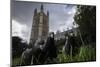 Feral Pigeons (Columba Livia) Outside the Houses of Parliament in Westminster. London, UK-Sam Hobson-Mounted Photographic Print